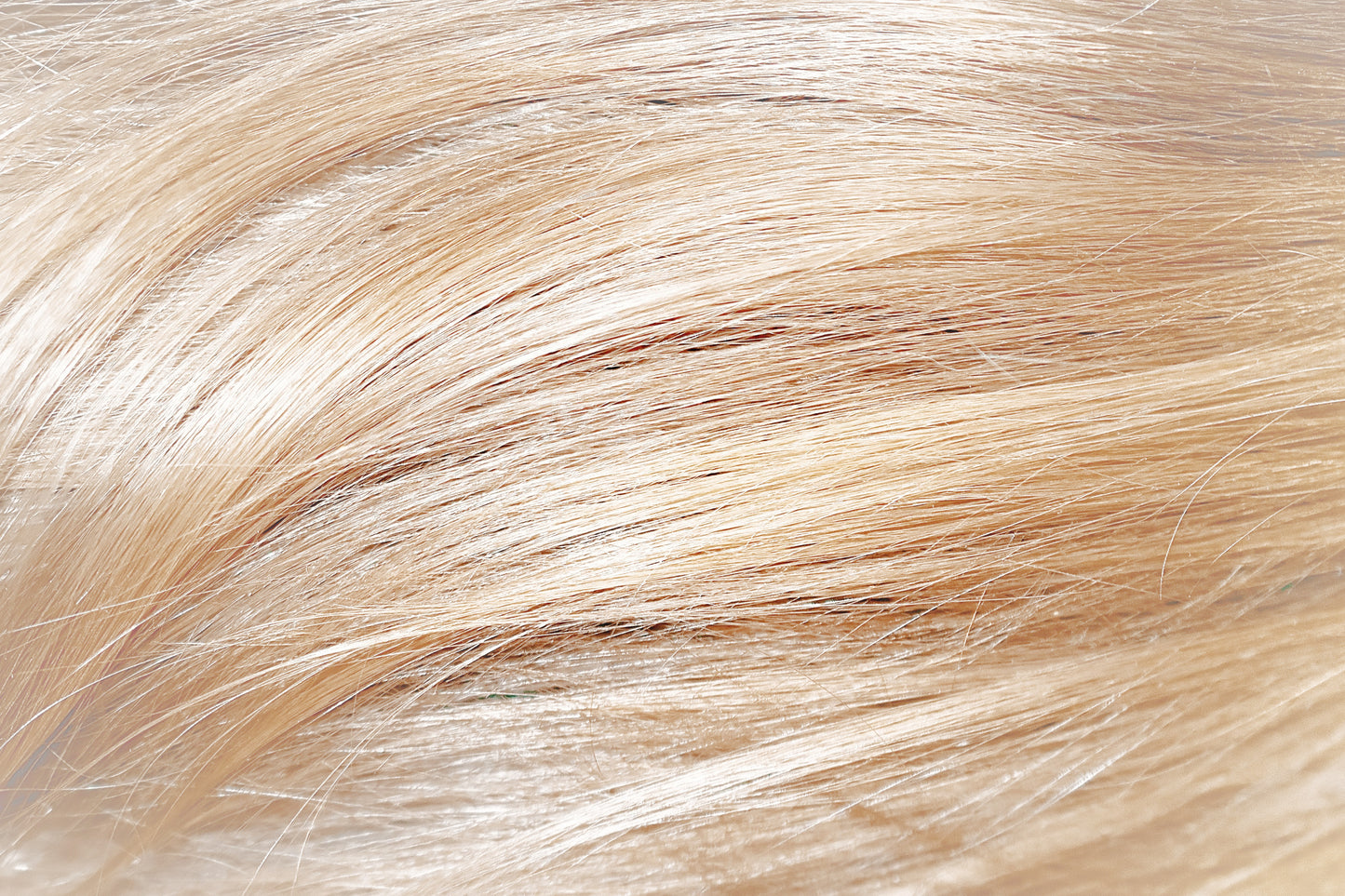 ORGANIC HAIR COLOR LIGHTEST BLONDE