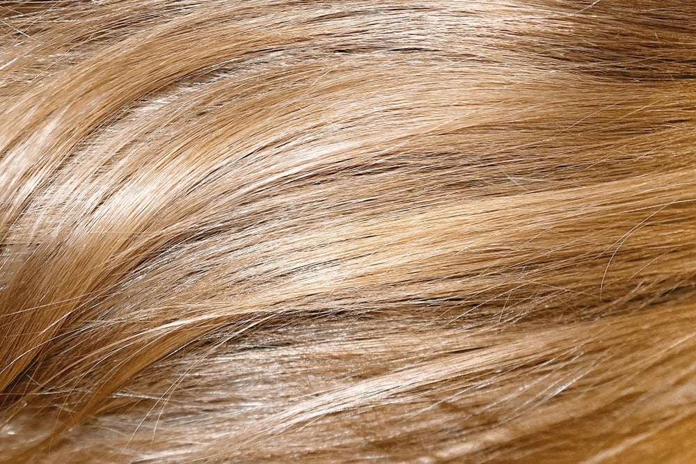 ORGANIC HAIR COLOR PEARL DIRTY BLONDE