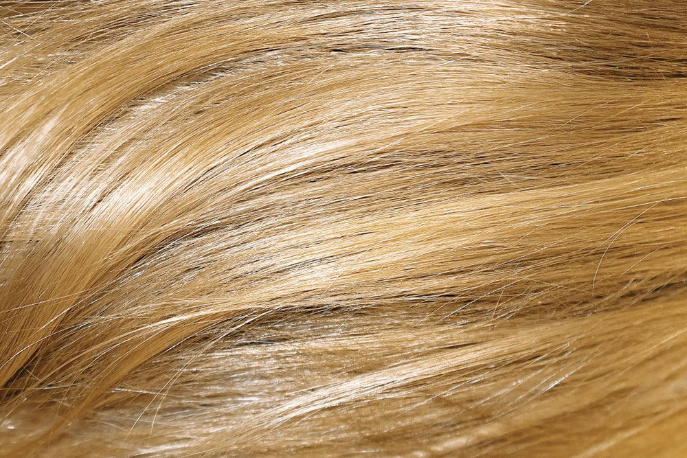 ORGANIC HAIR COLOR GOLDEN DIRTY BLONDE