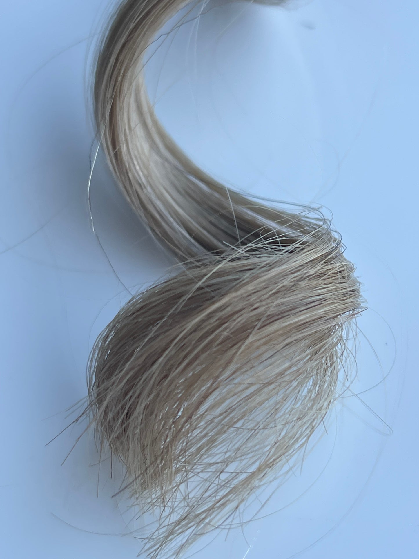 COLOR 6C