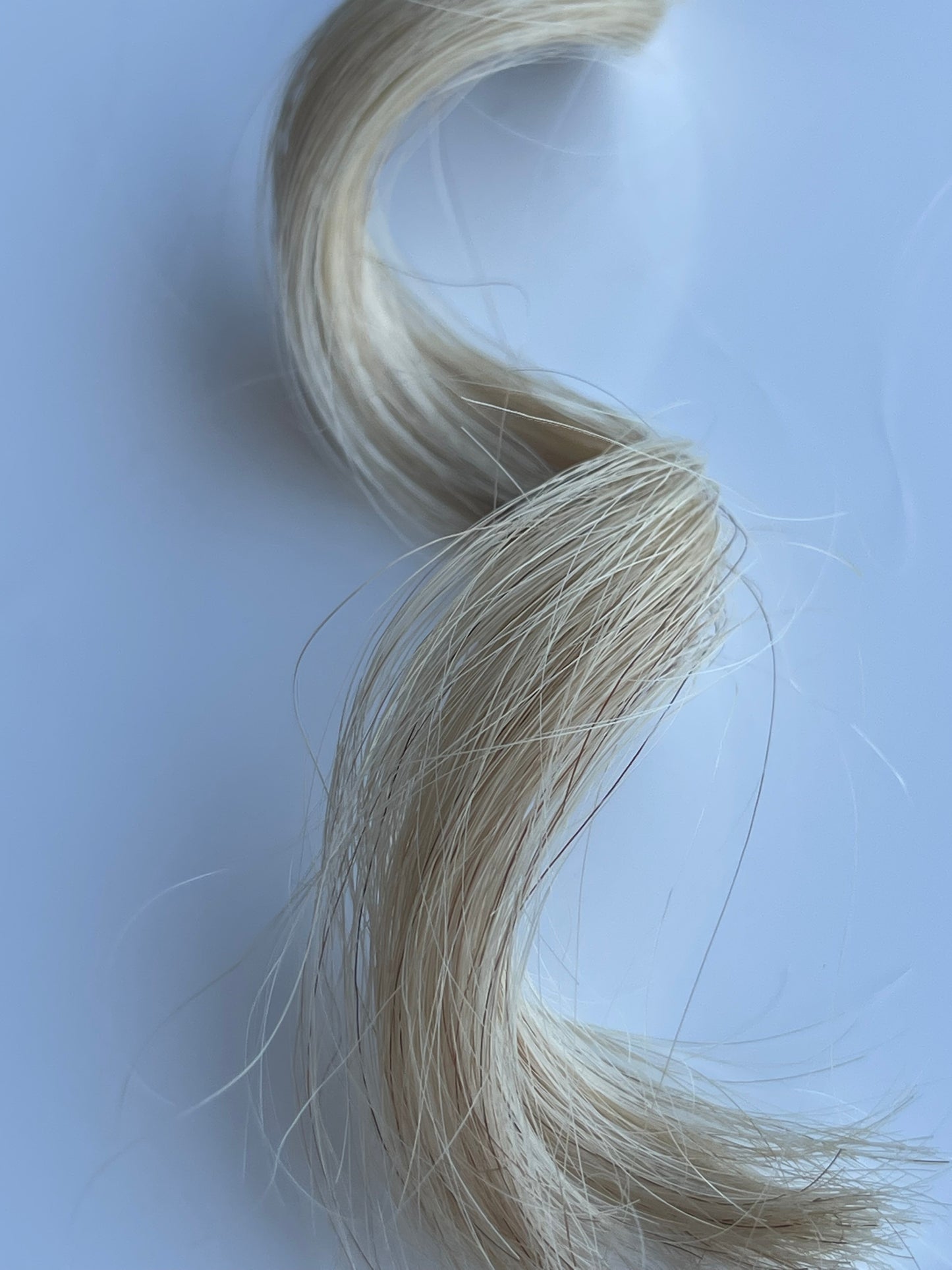 COLOR 12C