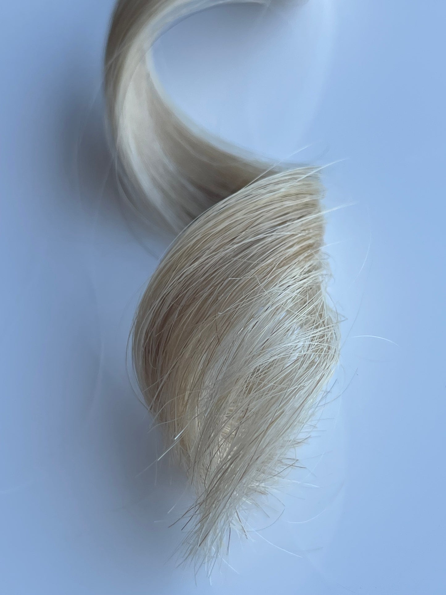COLOR 18C