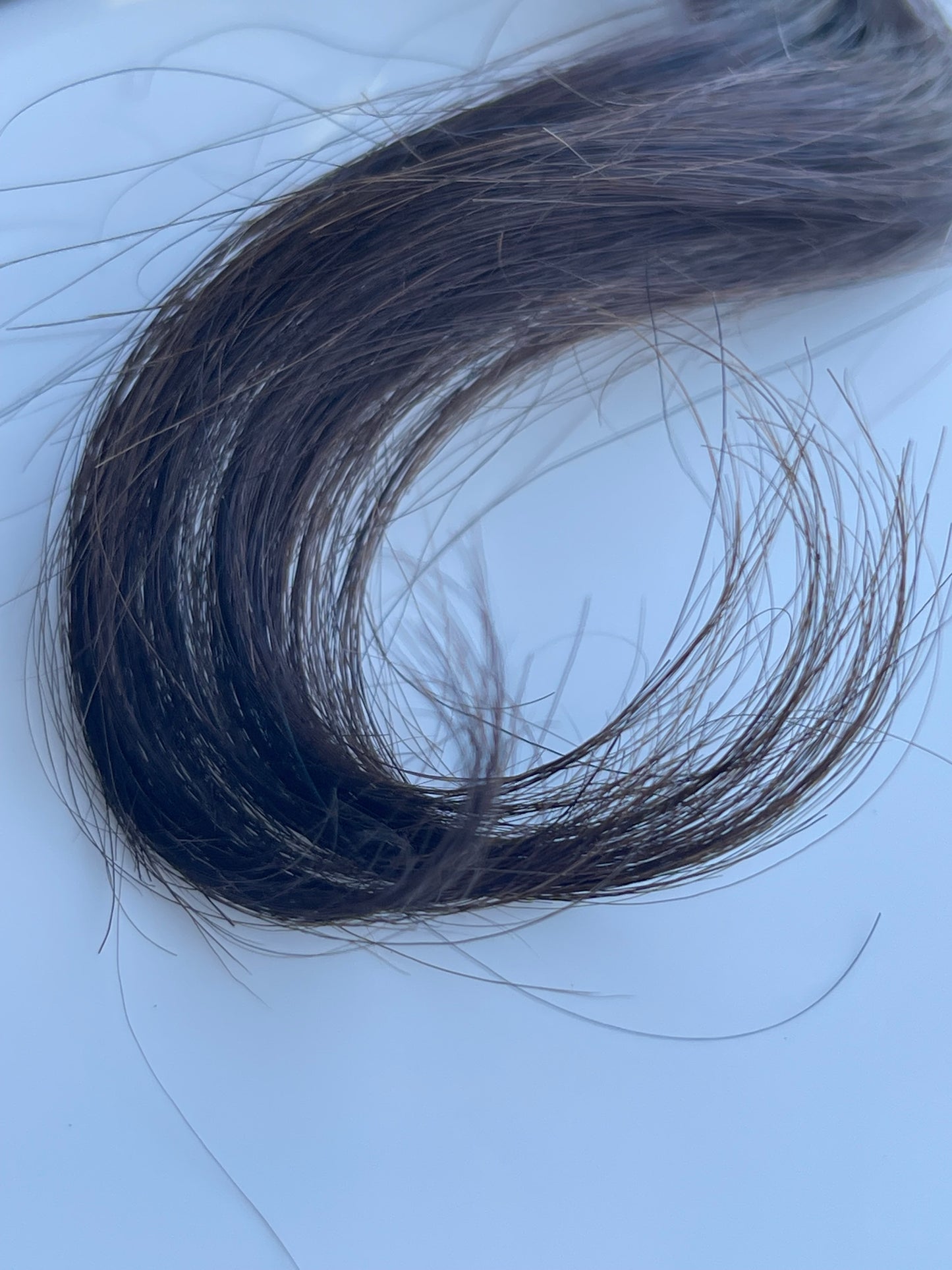 COLOR 1B